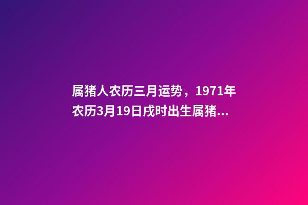 属猪人农历三月运势，1971年农历3月19日戌时出生属猪人的运势 农历1993年3月19日，出生的人命运怎么样？什么星座-第1张-观点-玄机派